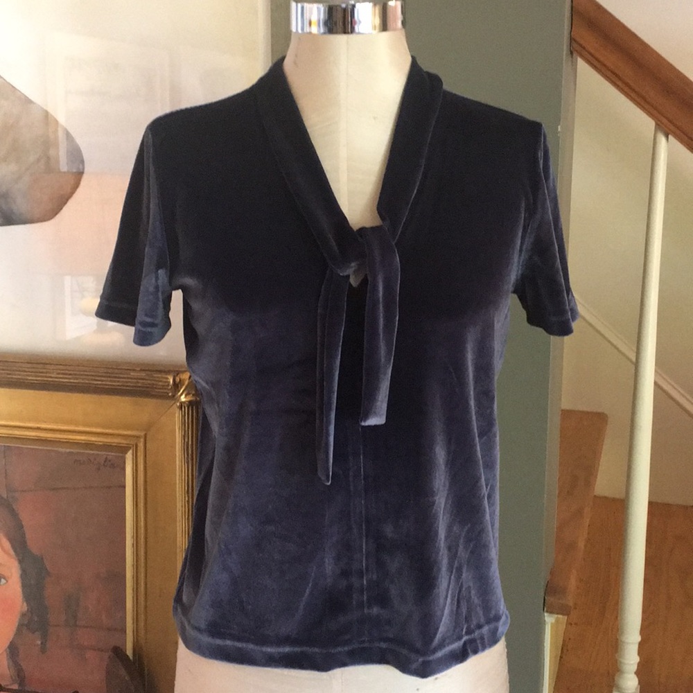 Madewell velvet top
